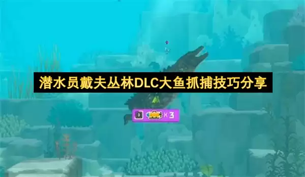 潜水员戴夫丛林DLC大鱼抓捕心得分享