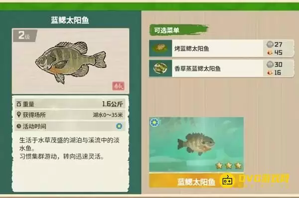 《潜水员戴夫》蓝鳃太阳鱼在哪钓-丛林DLC蓝鳃太阳鱼图鉴钓鱼点钓鱼时间方法