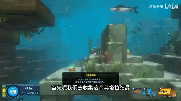 潜水员戴夫 丛林DLC大鱼抓捕技巧分享 鳄鱼怎么打