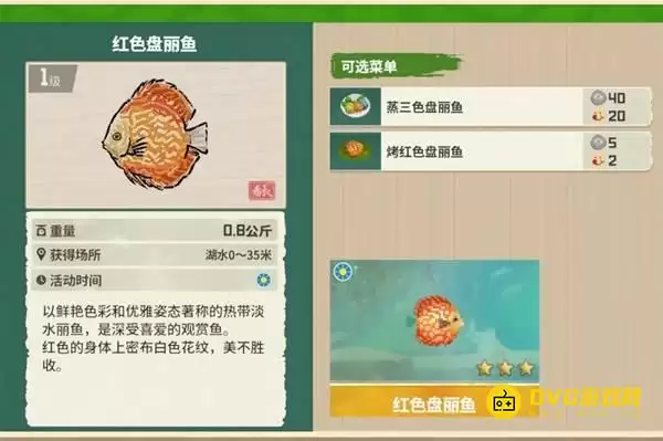 《潜水员戴夫》红色盘丽鱼哪里钓-丛林DLC红色盘丽鱼图鉴钓鱼点钓鱼时间方法