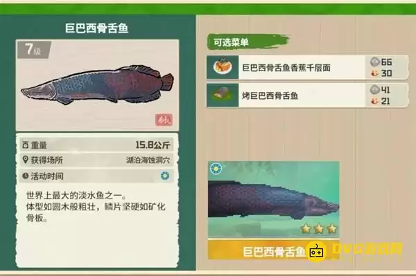 《潜水员戴夫》3星巨巴西骨舌鱼如何钓-3星巨巴西骨舌鱼钓取获得方法