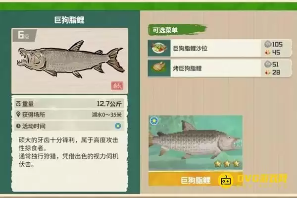 《潜水员戴夫》巨狗脂鲤在哪儿钓-丛林DLC巨狗脂鲤图鉴钓鱼点钓鱼时间方法