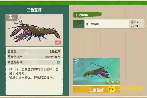 《潜水员戴夫》三色鳌虾钓鱼点位置-丛林DLC三色鳌虾图鉴钓鱼时间方法