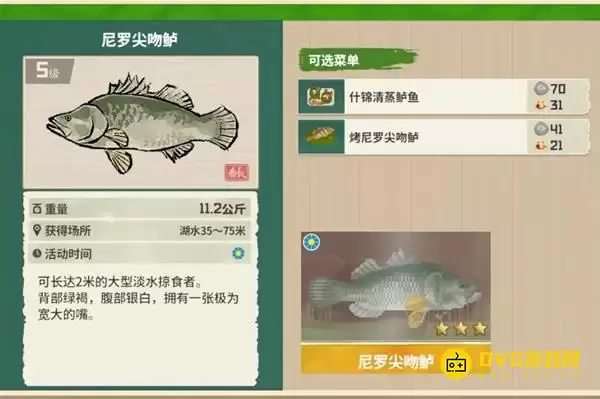 《潜水员戴夫》三星尼罗尖吻鲈如何钓-3星尼罗尖吻鲈获得钓取方法