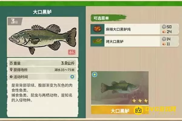 《潜水员戴夫》大口黑鲈钓点在哪-丛林DLC大口黑鲈图鉴钓鱼点钓鱼时间方法