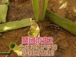 禁闭求生2草籽如何获取