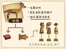 村落人生服饰篇生存手册