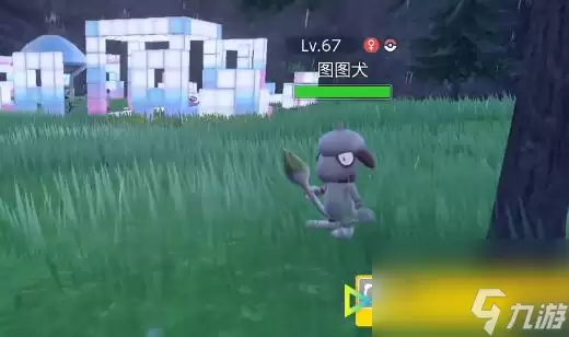 宝可梦朱紫复制道具方法介绍