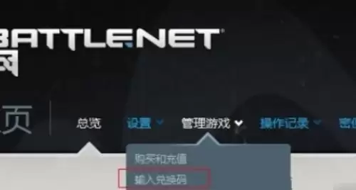 炉石传说兑换码使用指南