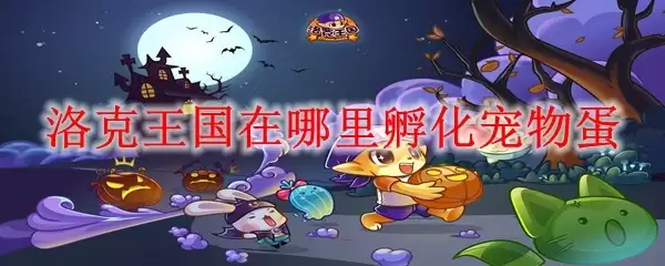 洛克王国宠物蛋在何处孵化