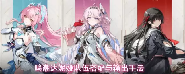 鸣潮达妮娅阵容搭配与输出手法