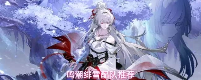 鸣潮绯雪队伍搭配推荐