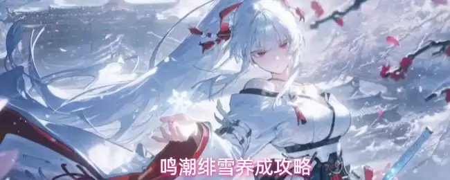 鸣潮绯雪养成指南