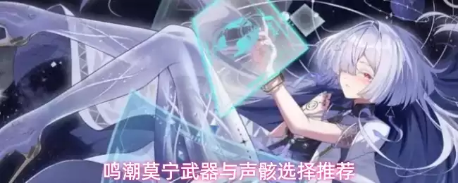鸣潮莫宁武器与声骸推荐选择