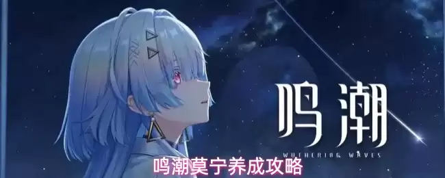 鸣潮莫宁养成攻略