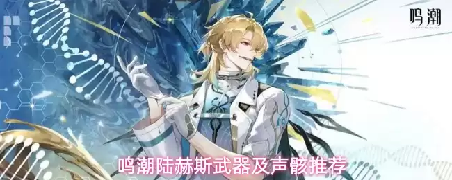 鸣潮陆赫斯武器与声骸推荐