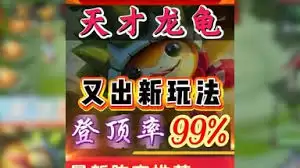 万血龙龟如何玩