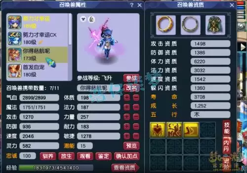 梦幻西游神木装备如何配置-梦幻西游神木如何配置装备
