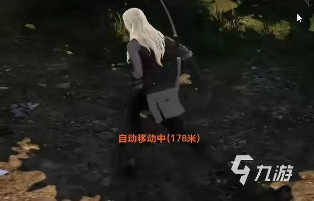 天堂2盟约骑士怎么玩 天堂2盟约骑士详解