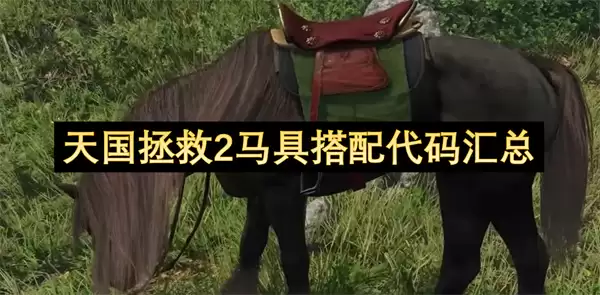 天国拯救2马具搭配代码汇总