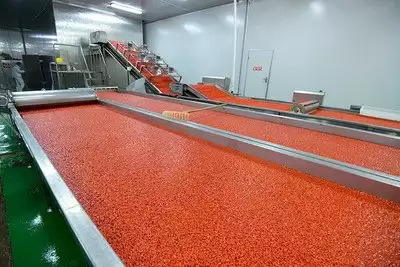 红色沙漠怎么获得工匠之手