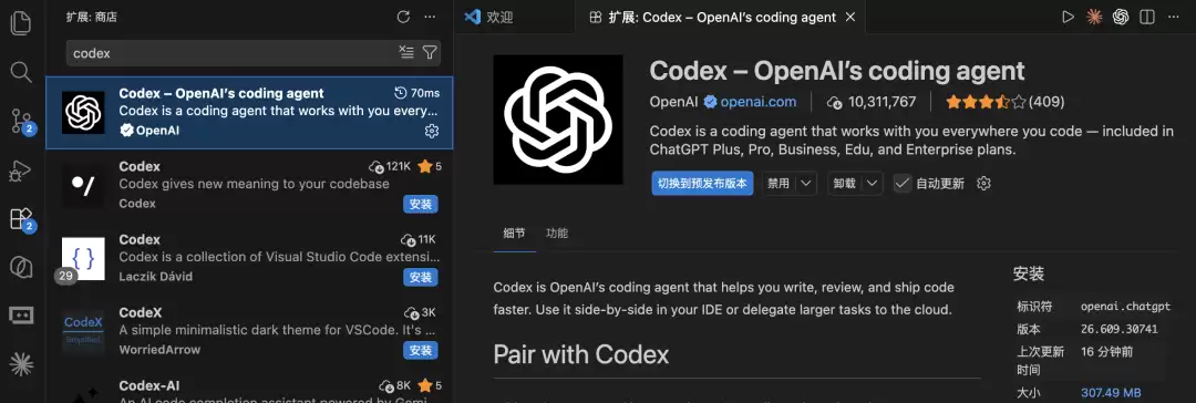 VS Code 扩展市场搜 codex，认准发布者 OpenAI 的官方扩展