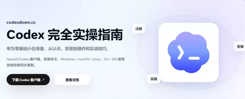 Codex客户端终端乱码的解决方式