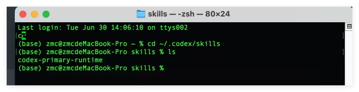 Codex Skill是什么:Codex Skill安装与使用的新手教程