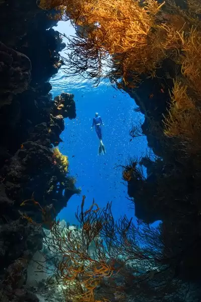伊莫深海秘境探索如何玩-伊莫深海秘境探索玩法介绍