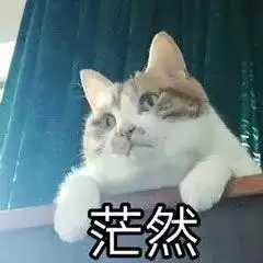 《原始传奇》恶魔广场和生肖殿堂走法攻略