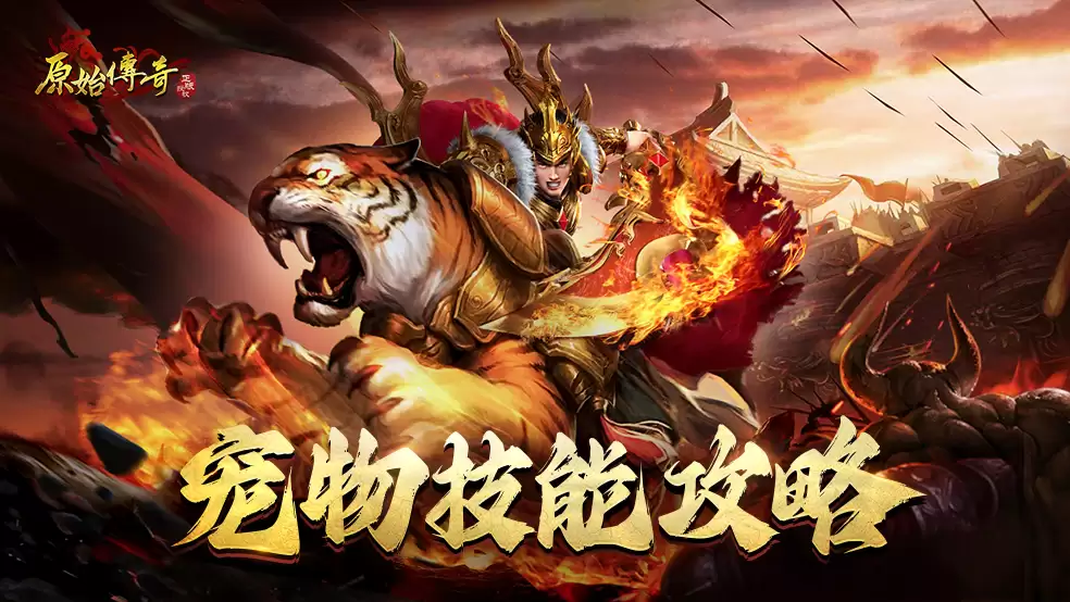 玛法攻略-宠物技能提取指南