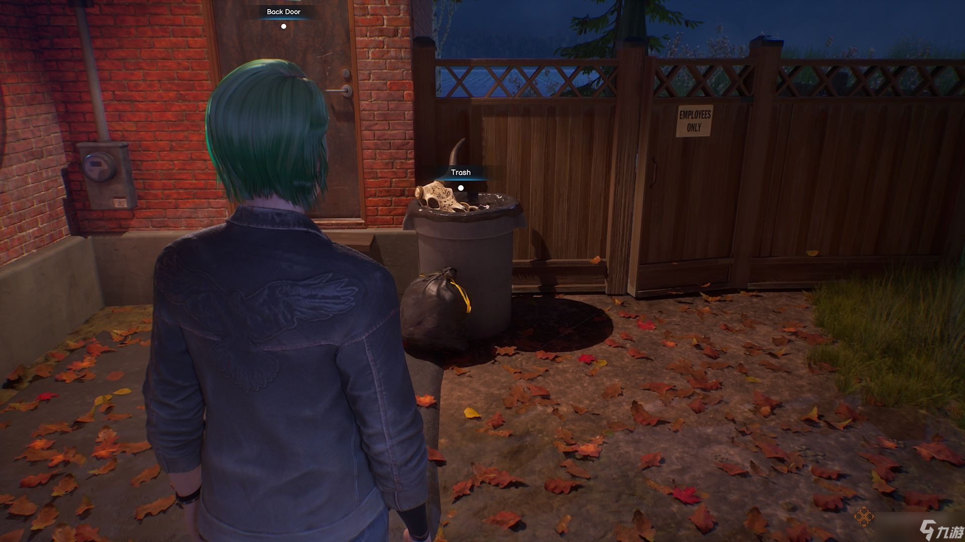 《Life Is Strange: Reunion》中克洛伊所有收集品位置指南