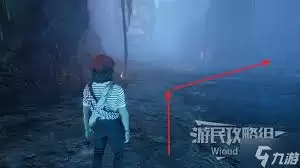 光与影33号远征队抽枝杖怎么获得