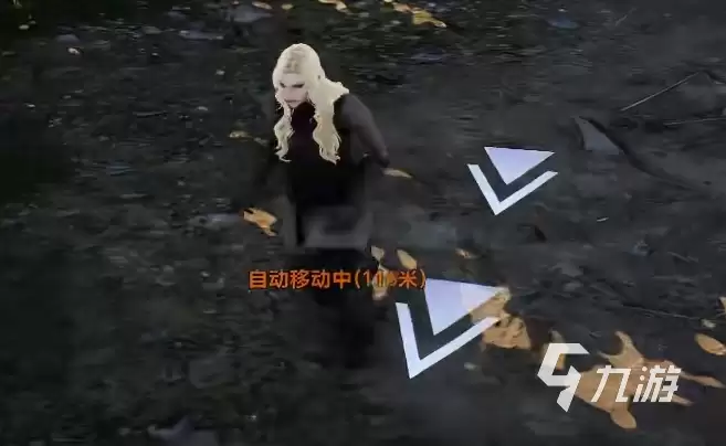 天堂2盟约骑士职业玩法详解与入门指南
