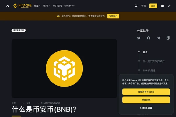 BNB币是什么?币安币用途、销毁机制与未来价值分析