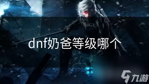 dnf奶爸等级哪个好
