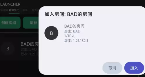 我的世界星尘启动器联机使用方法