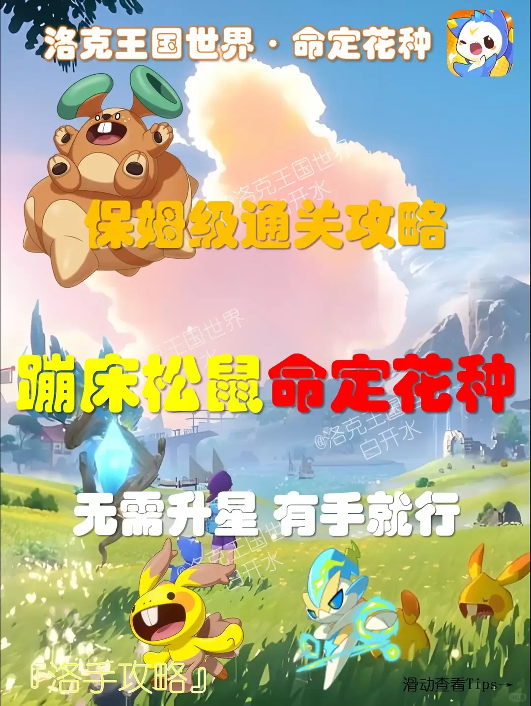 洛克王国世界命定花种蹦床松鼠怎样打