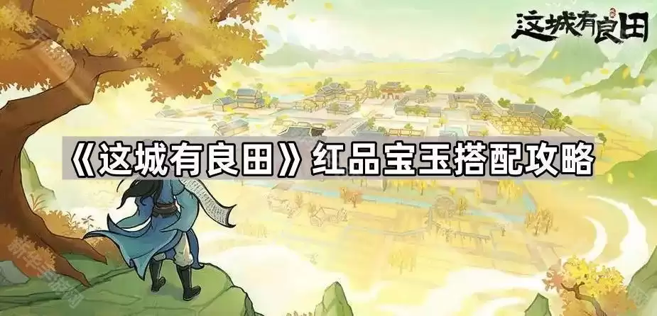 这城有良田红品宝玉组合攻略
