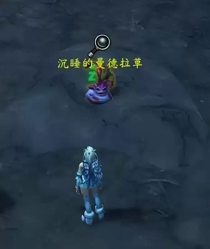 魔兽世界沉睡的曼德拉草宠物怎么获取