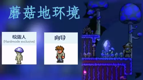 泰拉瑞亚npc居住环境搭配方案推荐