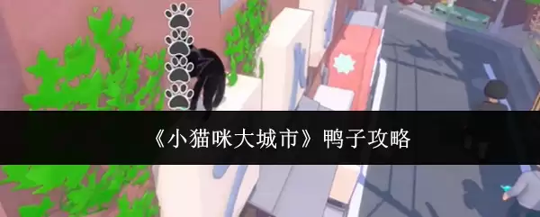 《小猫咪大城市》鸭子攻略