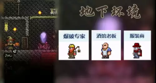 泰拉瑞亚NPC居住环境搭配方案推荐