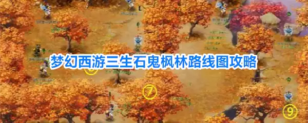 梦幻西游三生石鬼枫林路线图指南