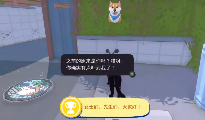 小猫咪大城市生存指南 小猫咪与狗相遇的应对策略与安全建议