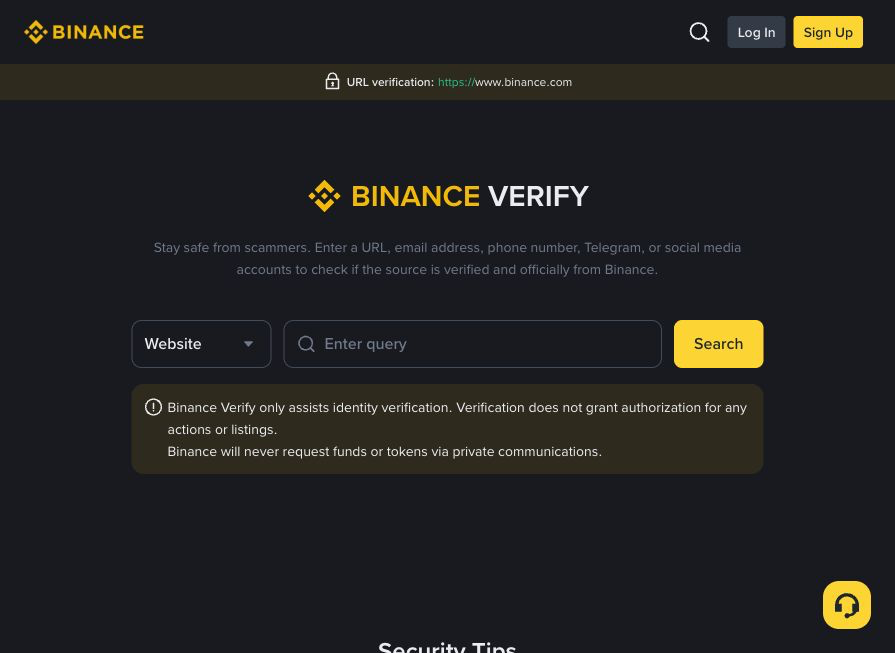 Binance Verify 页面选择 Website 后输入网址并点击 Search