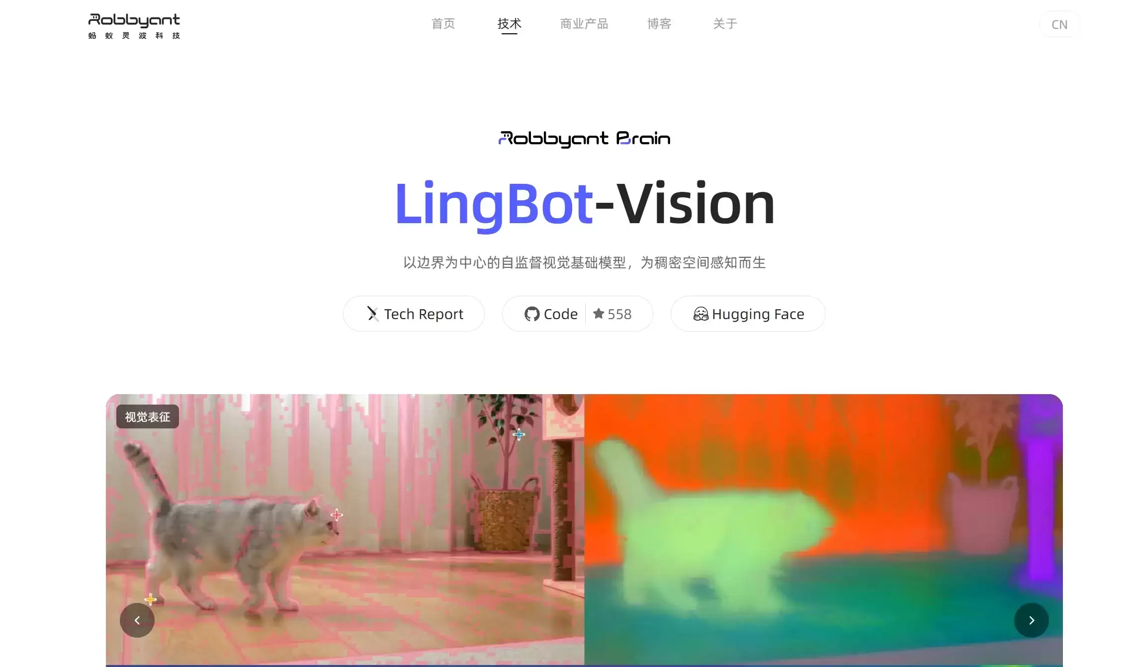 LingBot-Vision: 蚂蚁灵波科技推出的稠密空间感知视觉基础模型