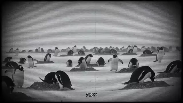 拆迁专家希望先生手把手教你零元购！