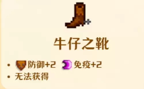 牛仔之靴 牛仔之靴