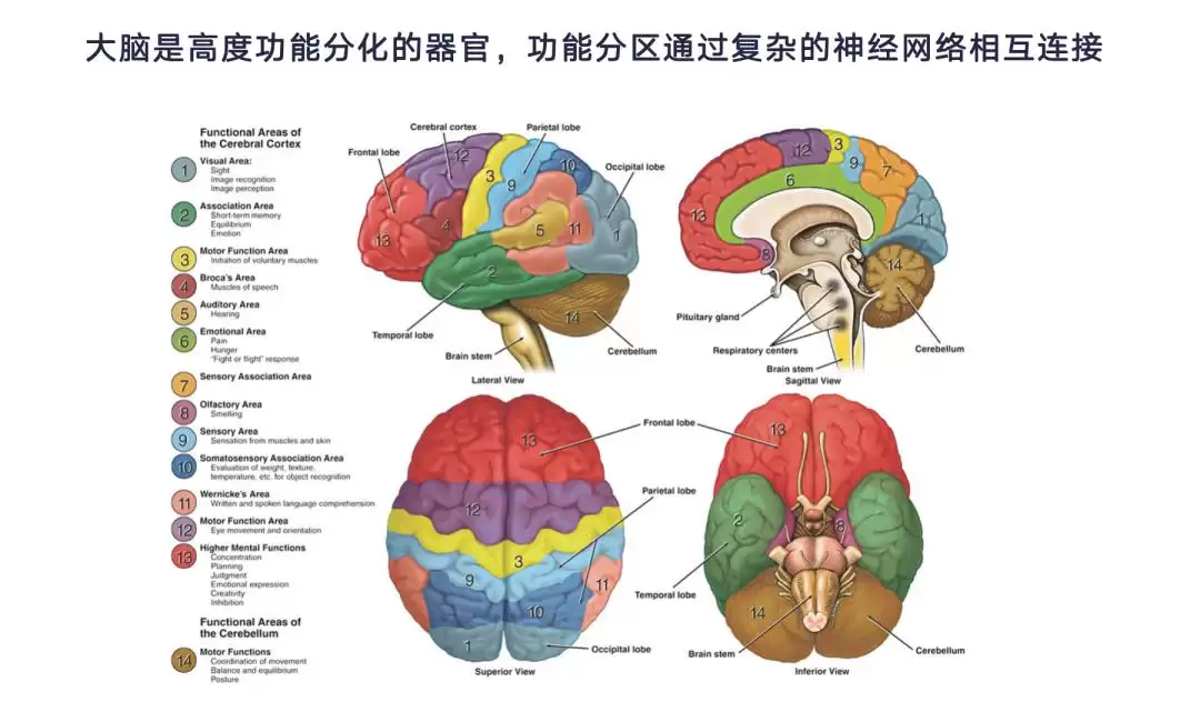 脑机接口和 AI：一个硬币的两面
